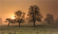 Sonnenaufgang im Nebel