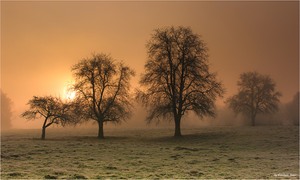 Sonnenaufgang im Nebel