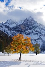 Wintereinbruch am Großen Ahornboden