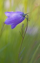 Erinnerung an den Sommer