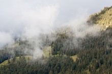 Berghang nach dem Regen