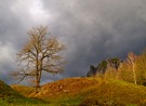 Vor dem Gewitter