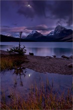 Am Bow Lake