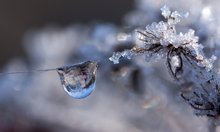 Nicht mehr lange, dann glitzert es nicht nur in der Natur