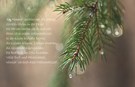 Happy Christmas...