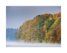 Frühnebel am Liebnitzsee