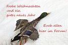 Wieder einmal...