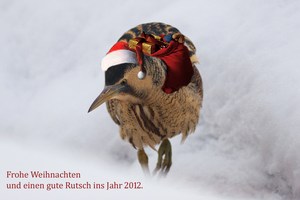 Frohe Weihnachten