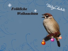 fröhliche weihnachten