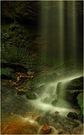 Seidenfall