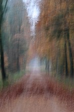 Weg in den Herbst