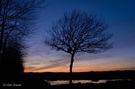 Abendstimmung im Hochmoor