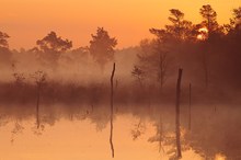 Sonnenaufgang im Pietzmoor