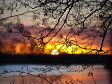 Sonnenaufgang in der Elbtalaue