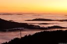 Nebelmeer im Nordschwarzwald