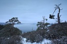 blick auf oslofjord