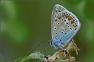 ~ Posing in blue ~