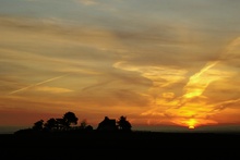 Amrum