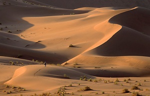 Namib