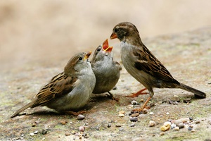 Familienbild mit Mutter