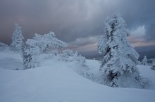 Geneigt im Schnee