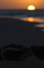 Morgenstimmung auf Helgoland