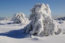 Skulpturen im Schnee