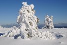 Skulpturen im Schnee - 3