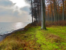 Herbst Stimmung auf langeland