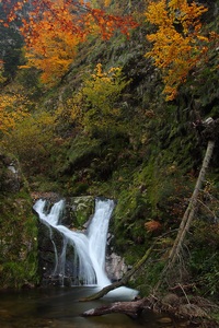 Herbstlicher Wasserfall