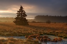 Wetterlaunen im Hochmoor...