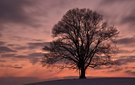 allgäuer winterabend