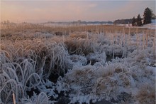 -23°C ein eiskalter ...