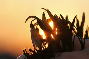 Die letzten Sonnenstrahlen...