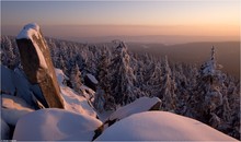 Am Nußhardt im Fichtelgebirge