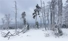 Winterlicher Inselsberg