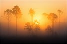 Myakka River State Park