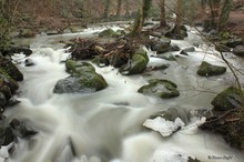 Bachlauf in der Eifel