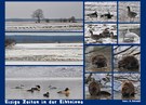 Ein Rückblick auf die eisigen Wochen an der Elbe.