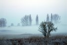 Landschaft im Nebel