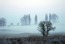 Landschaft im Nebel