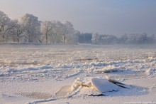 Eisiger Morgen II