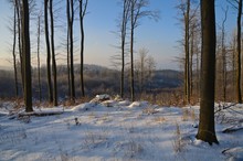 Irgendwo am Rennsteig