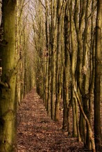 Unterdrückte Natur