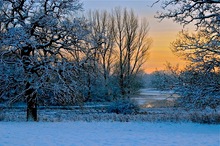 Winterabend in der Holsteinischen Schweiz bei Plön