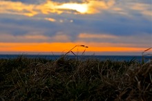 Abendstimmung auf Fehmarn