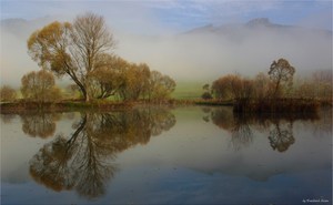 Herbstimpression