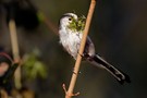 Der Frühling beginnt!