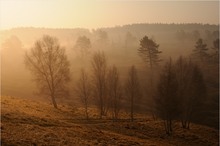 In der Früh´ ....