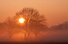 Nebelmorgen in Dortmund